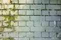 How to Clean Mold Off Walls