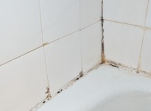 How-to-Prevent-and-Remove-Bathroom-Mold